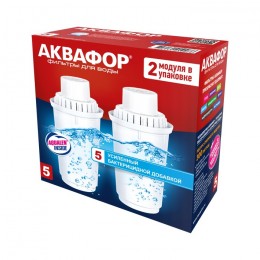 Сменный модуль В5 (В100-5) защита от бактерий (комплект из 2-х штук) в Спасске